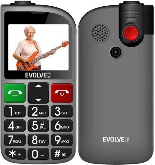 Evolveo EasyPhone FL Silver