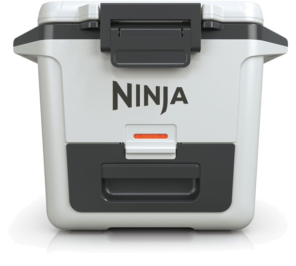 Ninja FB131EUGY Frost Vault 28l