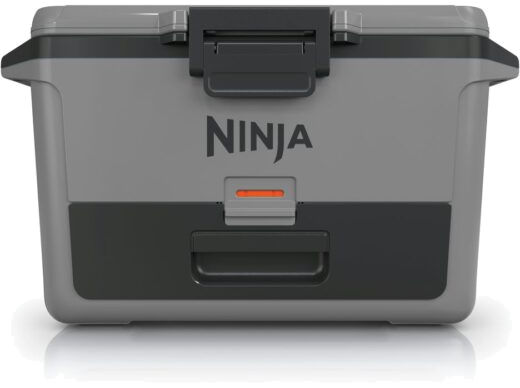 Ninja FB151EUGY Frost Vault 47l
