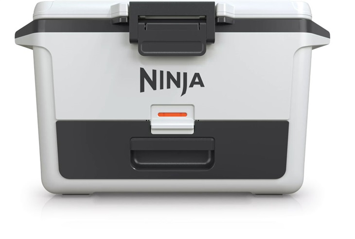 Ninja FB151EUWH Frost Vault 47l