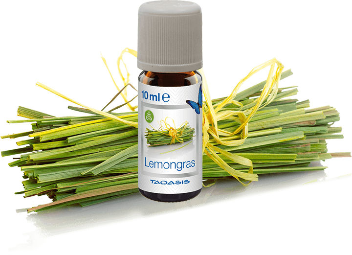 Venta Organic fragrance Lemongrass
